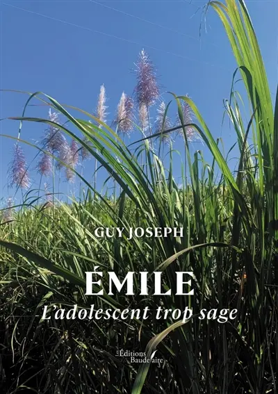 Emile : L'adolescent trop sage