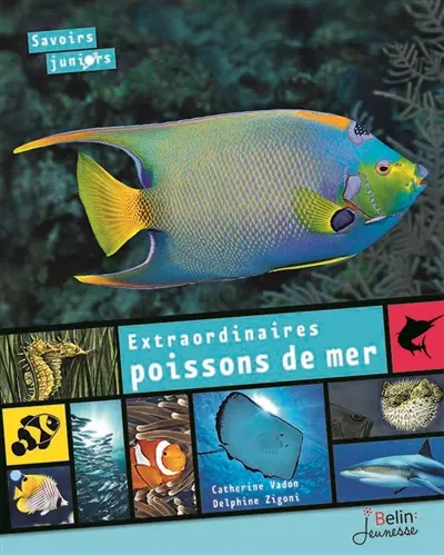 Extraordinaires poissons de mer