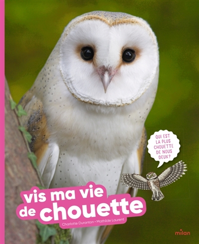 Vis ma vie de chouette