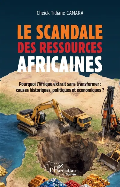 Le scandale des ressources africaines : pourquoi l'Afrique extrait sans transformer : causes historiques, politiques et économiques ?
