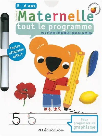 Découvertes maternelle, tout le programme : mes fiches effaçables grande section, 5-6 ans : pour progresser en graphisme