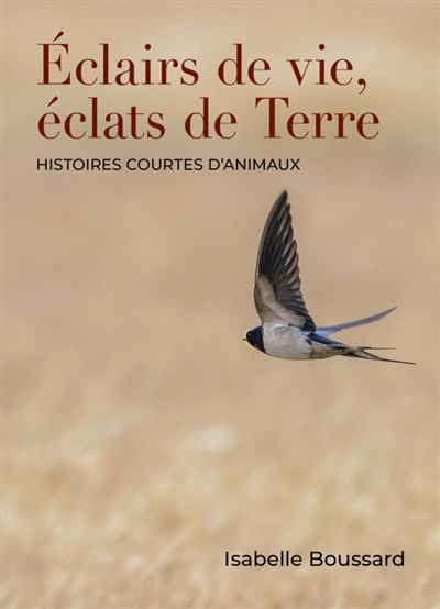 Eclairs de vie, éclats de...