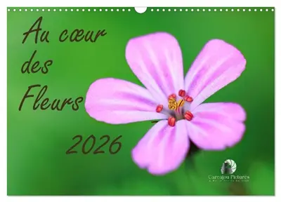Au cœur des fleurs (Calendrier mural 2026 DIN A3 vertical), CALVENDO calendrier mensuel : Une immersion délicate au plus près des pétales, où chaque fleur révèle sa beauté intime, ses couleurs vibrantes et la poésie cachée de la nature.