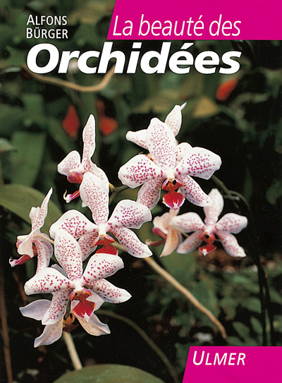 La beauté des orchidées
