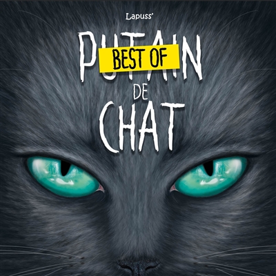 Best of Putain de chat
