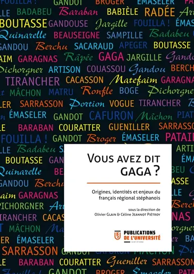 Vous avez dit gaga ? : origines, identités et enjeux du français régional stéphanois