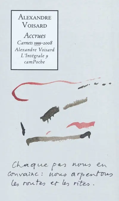 Alexandre Voisard : l'intégrale. Vol. 9. Accrues : carnets 1999-2008