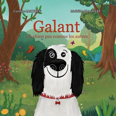 couverture du livre Galant : un chien pas comme les autres