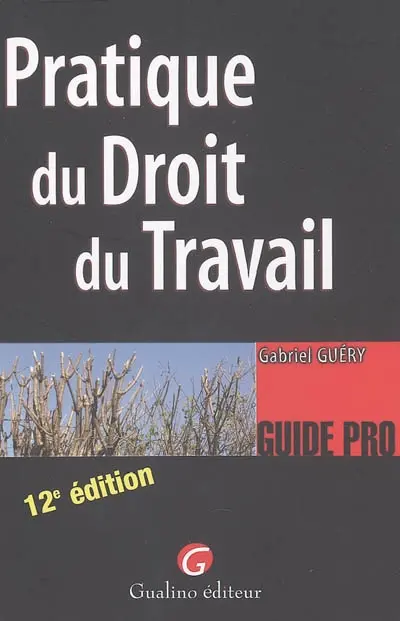 Pratique du droit du travail