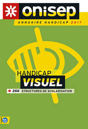 handicap visuel, 2017 : 250 structures de scolarisation