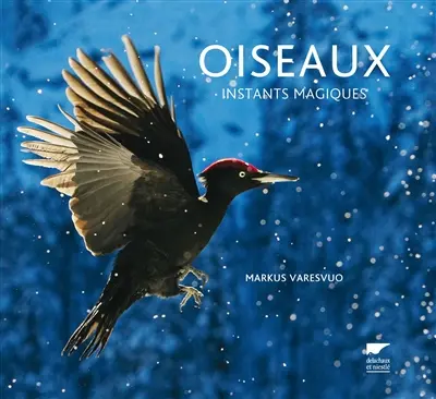 Oiseaux : instants magiques