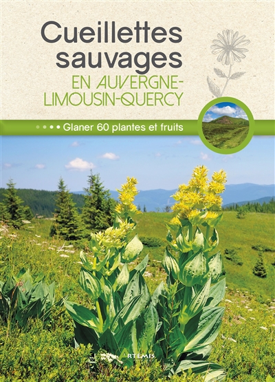 Cueillettes sauvages en Auvergne-Limousin-Quercy : glaner 60 plantes et fruits