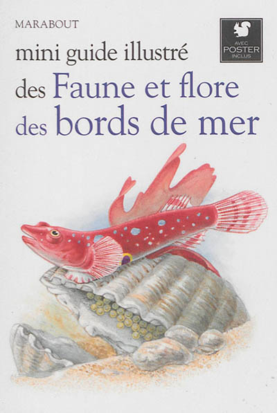 Mini guide illustré des faune et flore des bords de mer