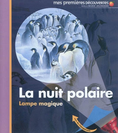 La nuit polaire