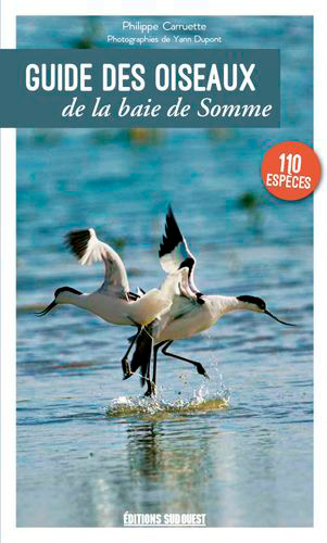 Guide des oiseaux de la baie de Somme : 110 espèces