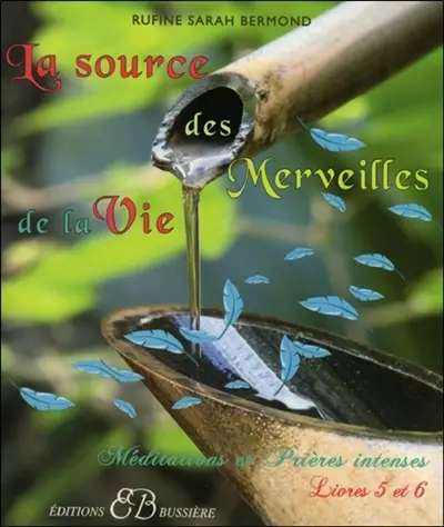 Mes pouvoirs secrets : méditations et prières intenses. Vol. 3. Livres 5 et 6 : la source des merveilles de la vie : de la pensée à la création