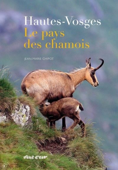 Hautes-Vosges, le pays des chamois