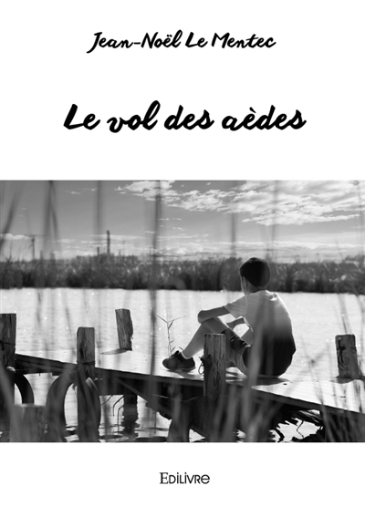 Le vol des aèdes