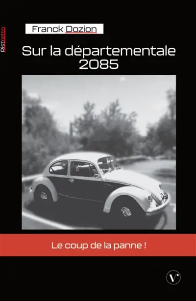 Sur la départementale 2085