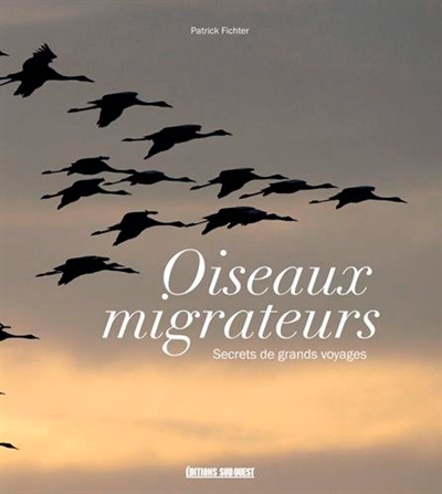 Oiseaux migrateurs : secrets de grands voyageurs