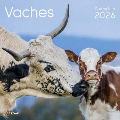 Vaches : calendrier 2026 :...