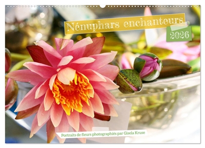 Nénuphars enchanteurs...