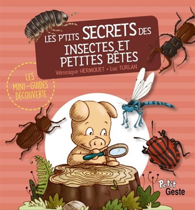 Les p'tits secrets des insectes et des petites bêtes