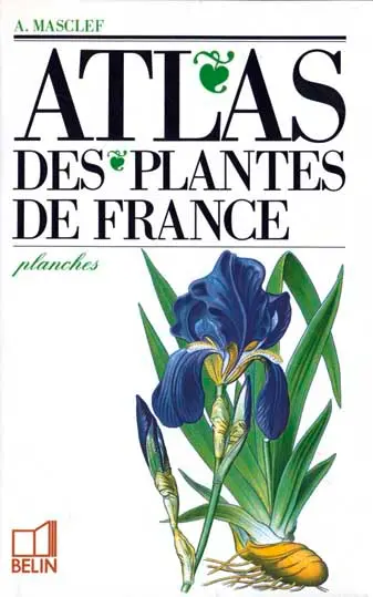 Atlas des plantes de France : volume de planches