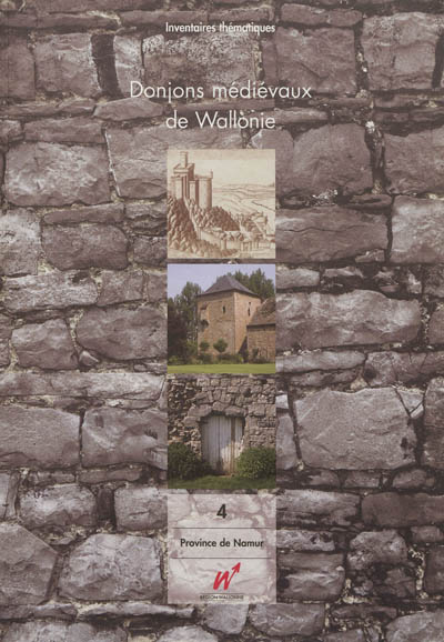 Donjons médiévaux de Wallonie. Vol. 4. Province de Namur : arrondissements de Dinan, Namur et Philippeville