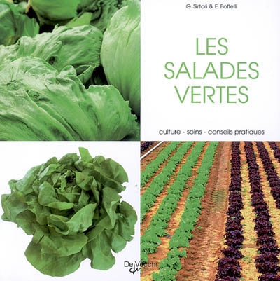 Les salades vertes : culture, soins, conseils pratiques