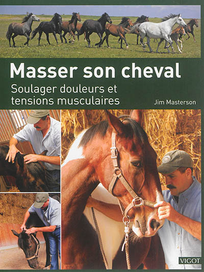 Masser son cheval : soulager douleurs et tensions musculaires