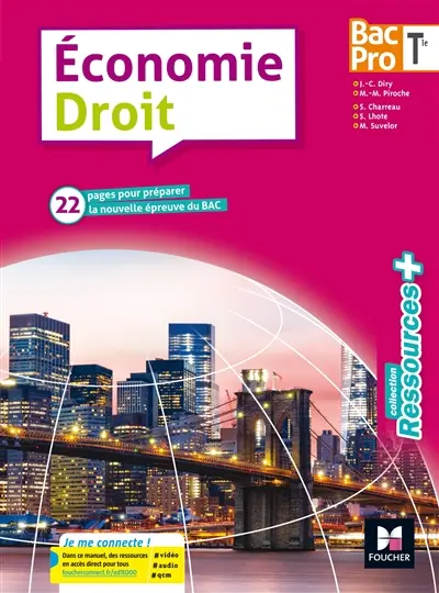 Economie, droit bac pro terminale : 22 pages pour préparer la nouvelle épreuve du bac