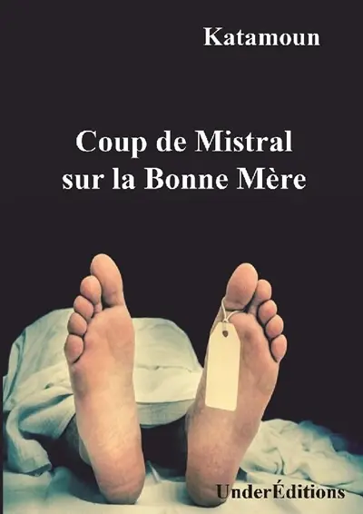 Coup de Mistral sur la Bonne Mère : polar