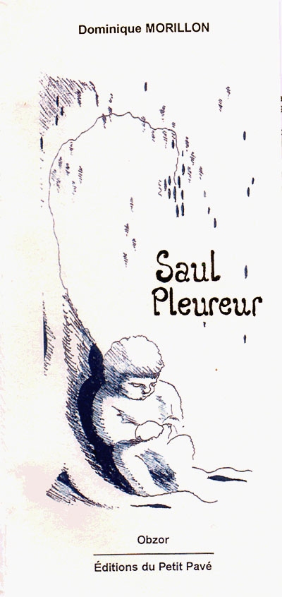 Saul pleureur : conte philosophique