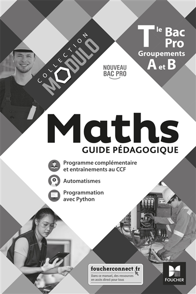 Maths terminale bac pro, groupements A et B : guide pédagogique : nouveau bac pro
