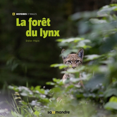 La forêt du lynx