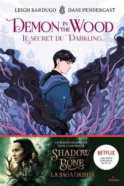 Demon in the wood, tome 1 : Le secret du Darkling