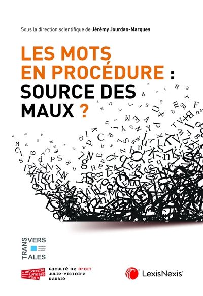 Les mots en procédure : source des maux ?