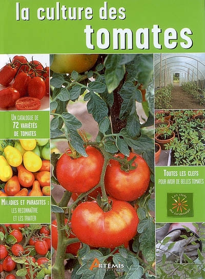 La culture des tomates