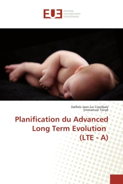 Planification du Advanced Long Term Evolution (LTE : A)