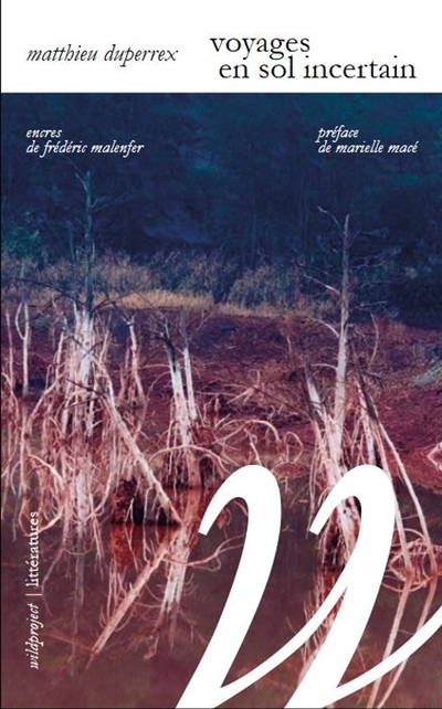 couverture du livre Voyages en sol incertain : enquête dans les deltas du Rhône et du Mississippi