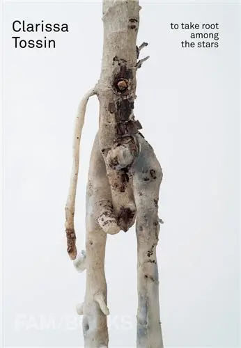Clarissa Tossin : To Take Root among the Stars