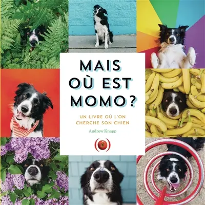 Mais où est Momo ?. Un livre où l'on cherche son chien