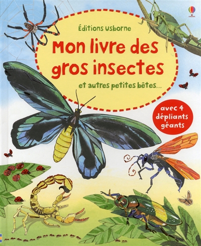 Mon livre des gros insectes : et autres petites bêtes...
