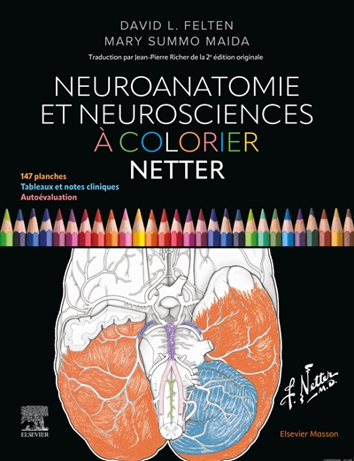 Neuroanatomie et...