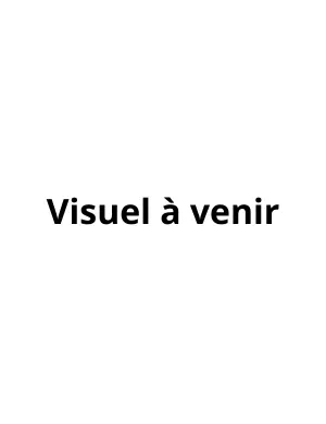 Les ardentes