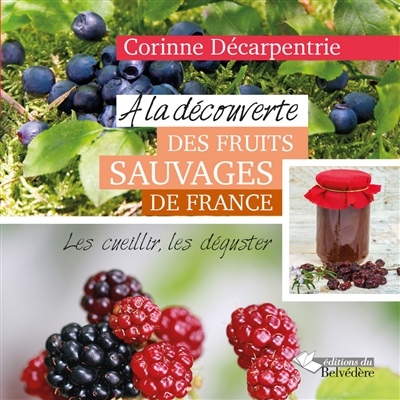 A la découverte des fruits sauvages de France : les cueillir, les déguster