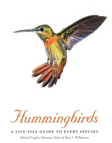 Hummingbirds A Life-Size Guide to Every Species