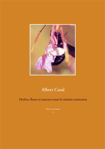 Herbes, fleurs et insectes...