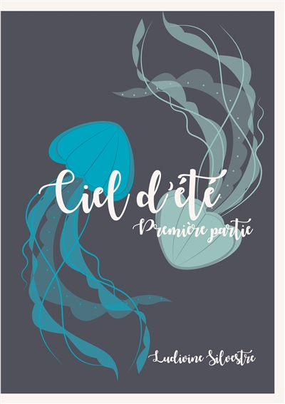Ciel d'été : première partie